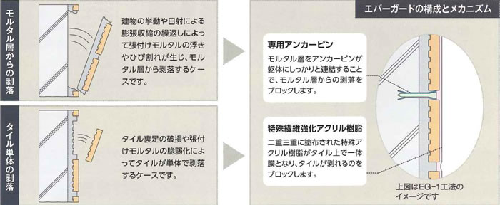 モルタル層をアンカーピンが躯体にしっかり連結することで、モルタル層からの剥落をブロックします。／二重三重に塗布された特殊アクリル樹脂がタイル上で一体膜となり、タイルが剥がれるのをブロックします。